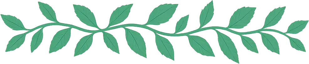 bg 2