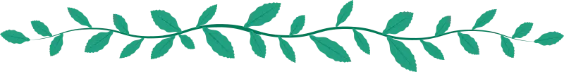 leaves divider img