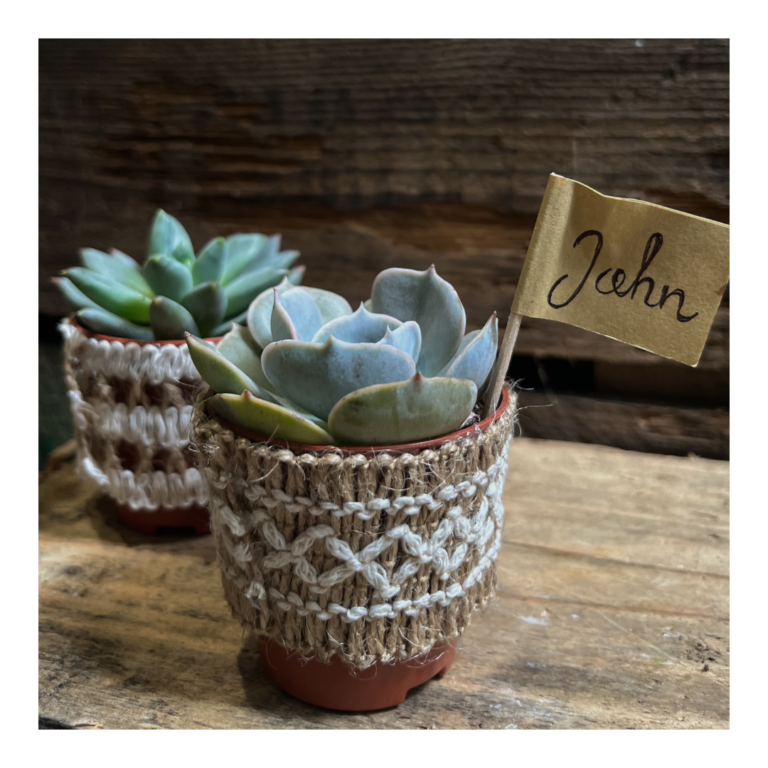 Plant Favours 6 Living plant favour Succulents in hessian on rustic table with name tags