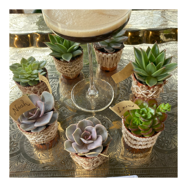 Plant Favours 14 Living plant favours on Succulents in hessian with name tags