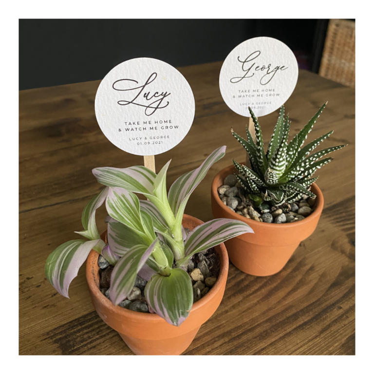 Plant Favours 7 Living Plant wedding Favours in terracotta pots with circle name tags.
