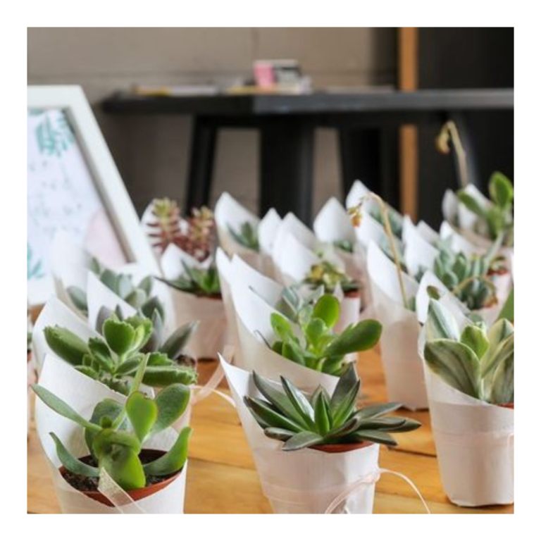 Plant Favours 8 3