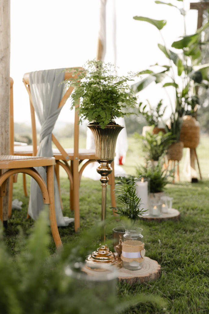 Image 7 – Botanical Aisle Styling Wedding aisle styling with living plants, candlelight and botanical décor creating a natural ceremony setting for outdoor weddings.