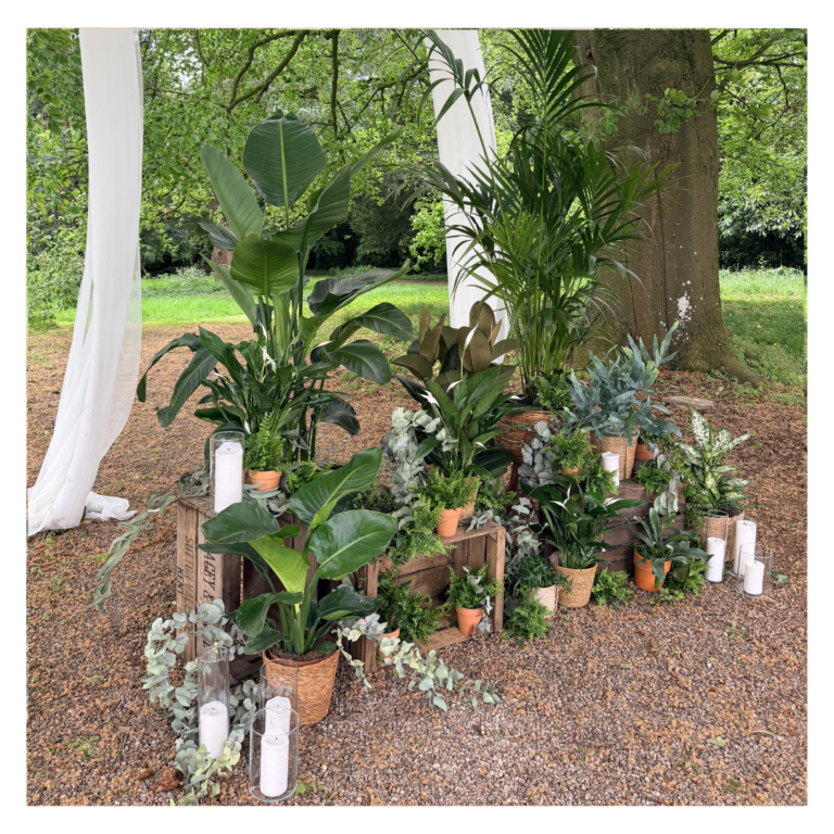 Living plant wedding ceremony installation with Bird of Paradise plants, palms, eucalyptus and candle styling creating a natural outdoor wedding backdrop.