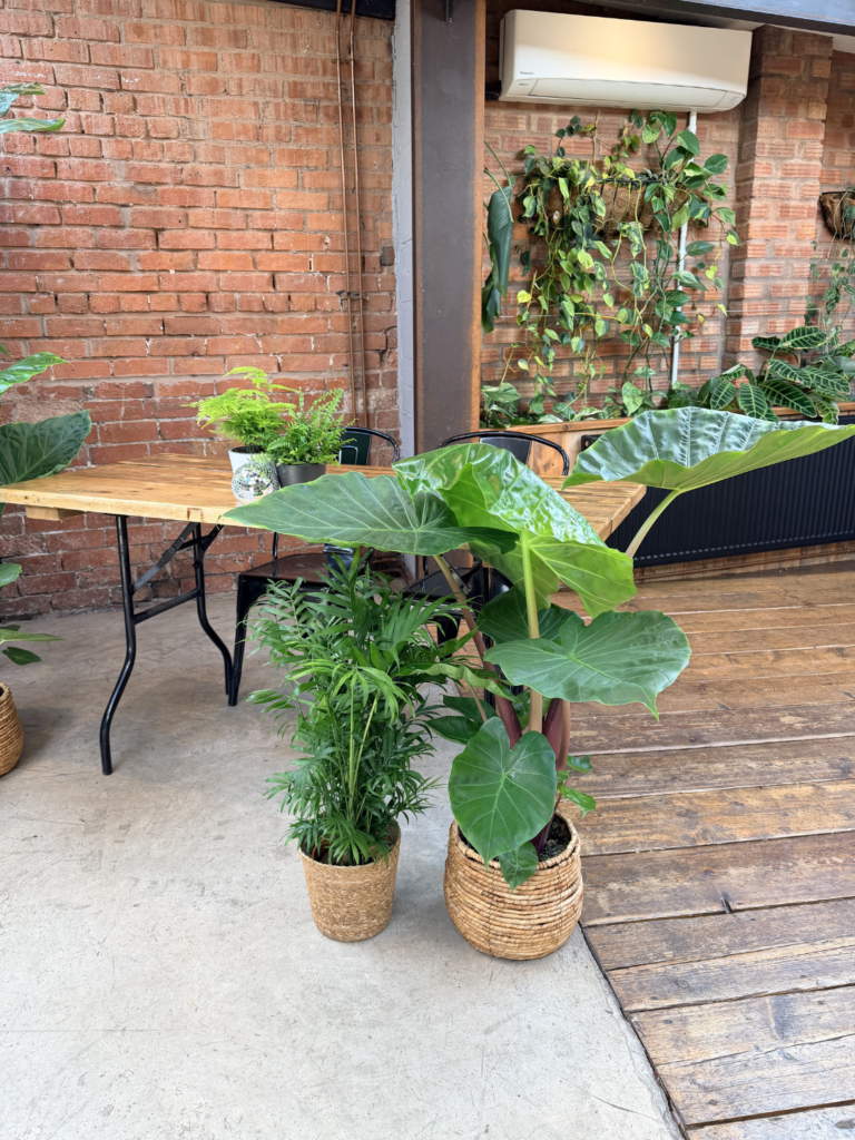 An arrangement of plants on the corner of a signing table during a ceremony.