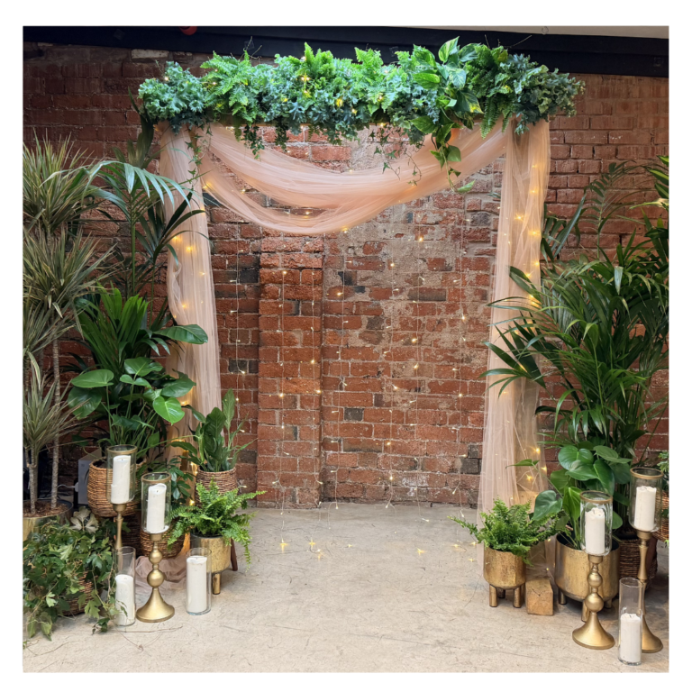 Romantic wedding backdrop with draped fabric, fairy lights and lush living plants, ideal for barn weddings and industrial wedding venues.