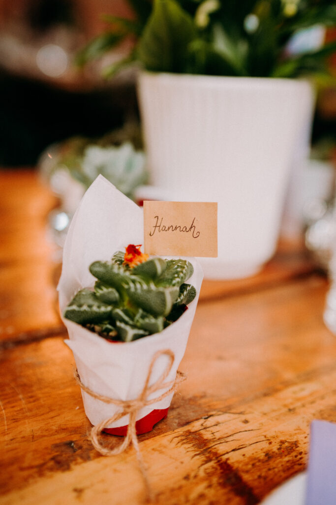 A Succulent plant wedding ffavour. This havour has a name tag as a place name, as well as white tissue paper and twine