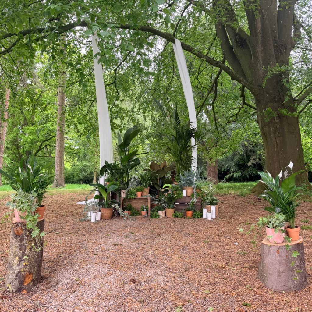 Outdoor woodland wedding ceremony featuring living plants, botanical styling and natural greenery framing the aisle and ceremony backdrop.
