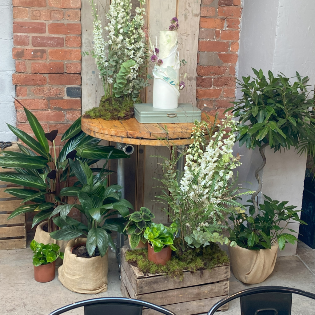 Wedding cake table decorated with living plants, moss and botanical styling creating a natural sustainable wedding cake display.