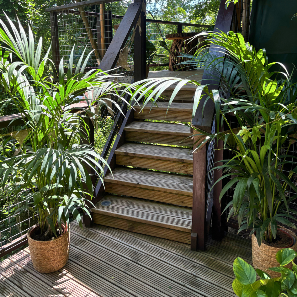 Outdoor wedding walkway framed with tropical plants creating a welcoming botanical entrance using living plant hire.