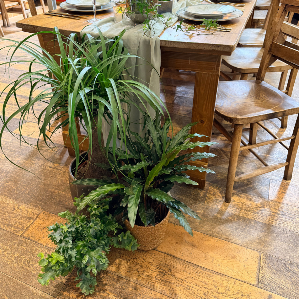 End of banquet wedding table styled with statement tropical plants creating natural botanical wedding décor and venue styling.