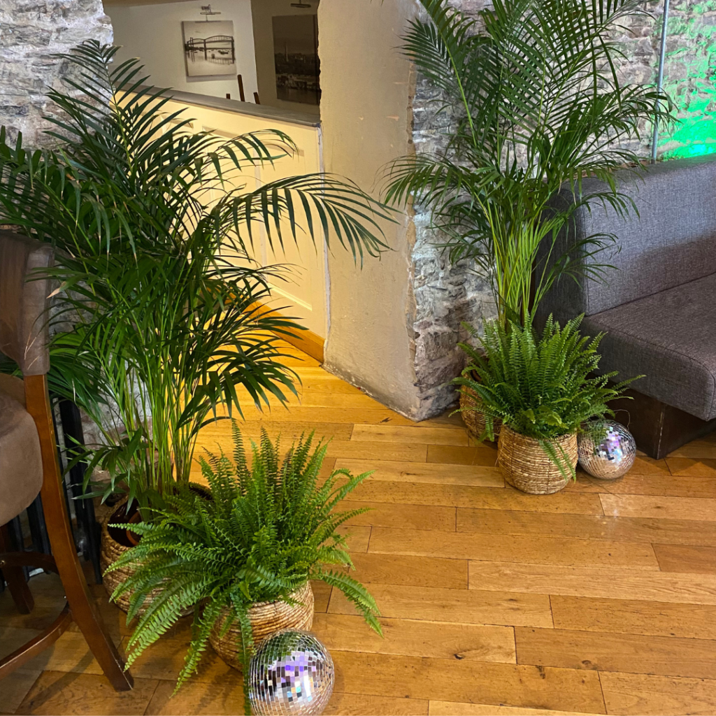 Indoor wedding venue walkway styled with palms, ferns and disco balls creating sustainable botanical wedding décor.
