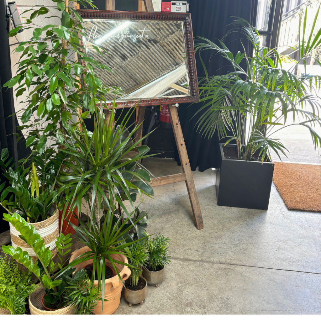 Mirror seating plan surrounded by tropical plants and foliage, creating an eye-catching botanical wedding styling feature using reusable living plants.