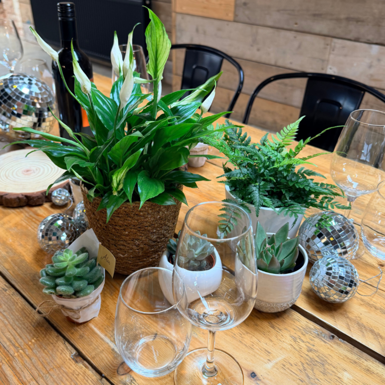 Living plant wedding centrepiece with ferns, palms and smaller plants in terracotta pots on a wooden table.