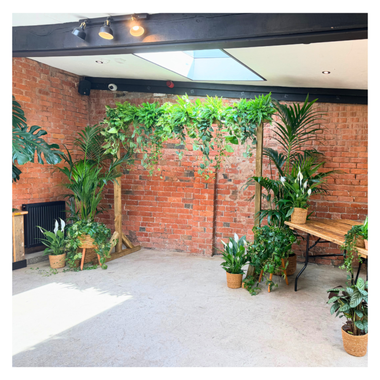 Simple wooden wedding backdrop covered in trailing living foliage and surrounded by palms, peace lilies and smaller potted plants.