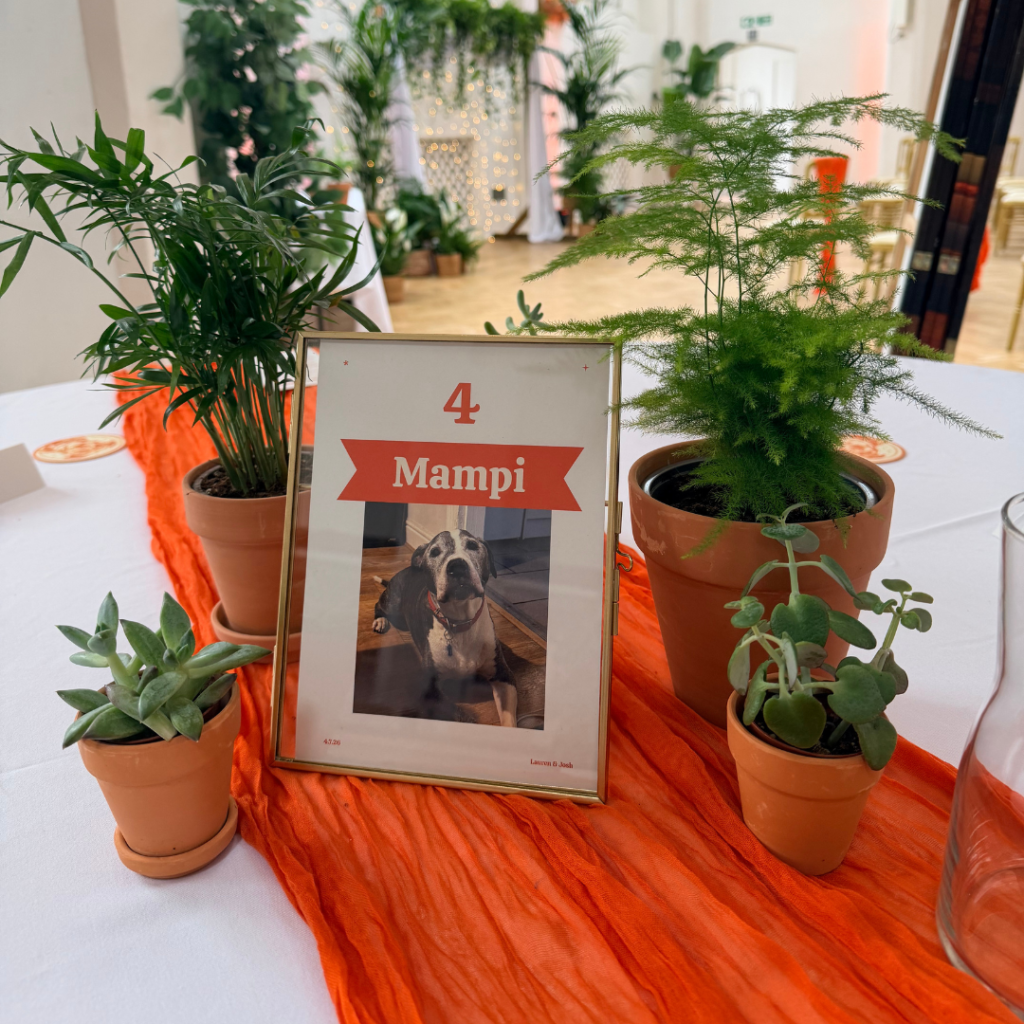 Personalised wedding table centrepiece with living plants in terracotta pots surrounding a framed table name and photograph.