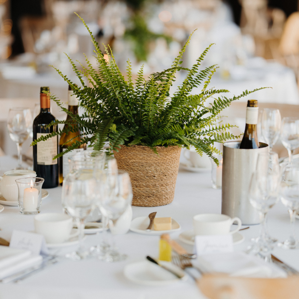 Large living fern wedding centrepiece in a natural woven basket on a round reception table.