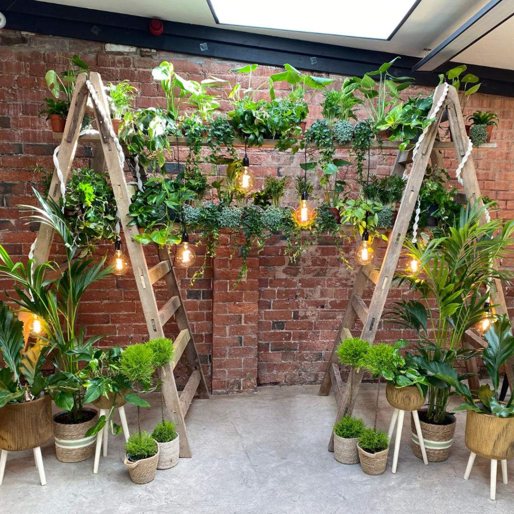 Edison Bulbs hanging from a foliage filled wedding ceremony backdrop at the shack revolution in hereford