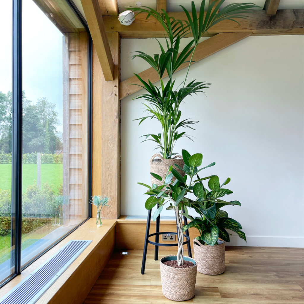 Freestanding wedding plant arrangement with palms and foliage plants